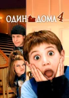 Один дома 4 смотреть онлайн (2002) бесплатно в HD